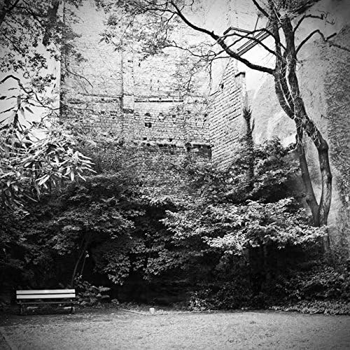 The Courtyard by Dorit Fuhg
